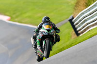 PJ-Motorsport-Photography-2020;anglesey;brands-hatch;cadwell-park;croft;donington-park;enduro-digital-images;event-digital-images;eventdigitalimages;mallory;no-limits;oulton-park;peter-wileman-photography;racing-digital-images;silverstone;snetterton;trackday-digital-images;trackday-photos;vmcc-banbury-run;welsh-2-day-enduro